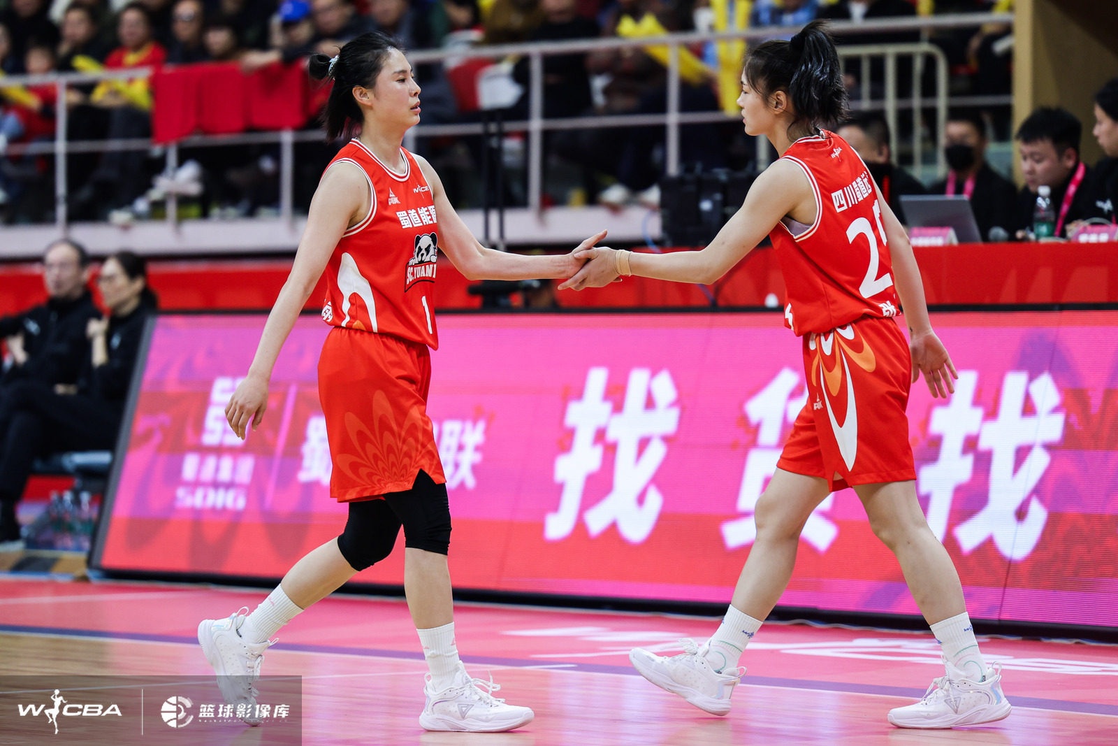  WCBA今日战报：四川击败山东迎9连胜 内蒙古险胜东莞