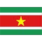 苏里南logo